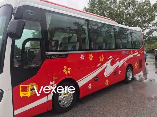 Ảnh 7
