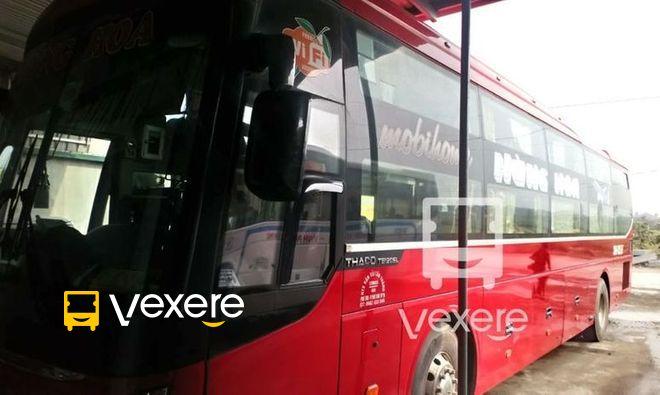 img-idx-3