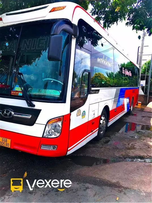 Ảnh 1