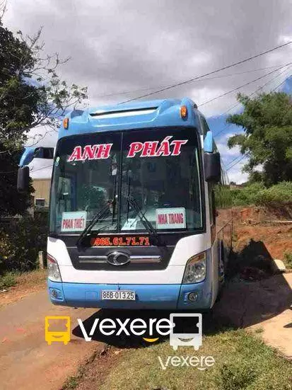 Ảnh 210