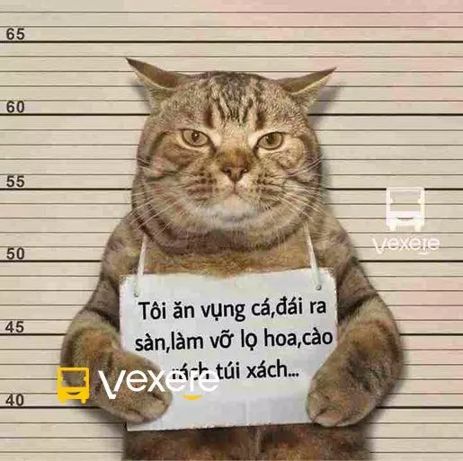 Ảnh 67