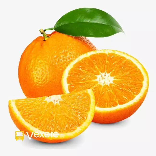 Ảnh 219
