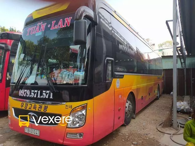 Ảnh 11