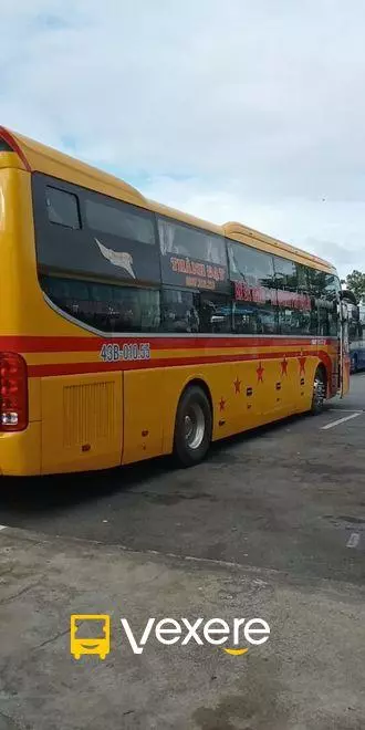 Ảnh 7