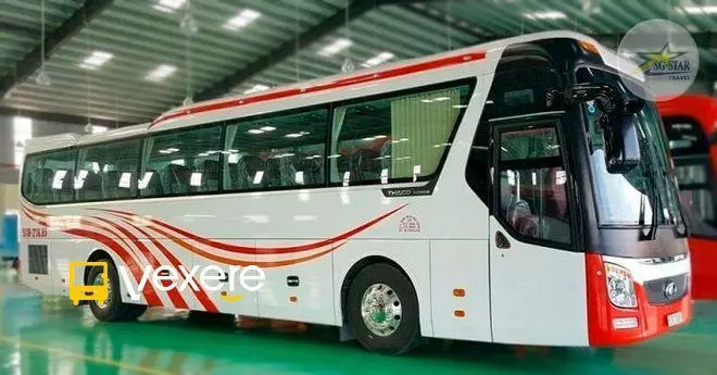 Ảnh 16