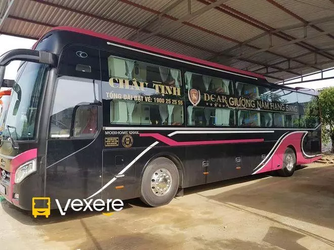 Ảnh 43