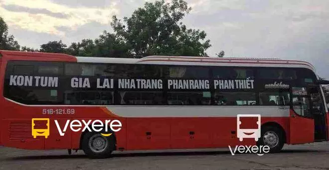 Ảnh 209