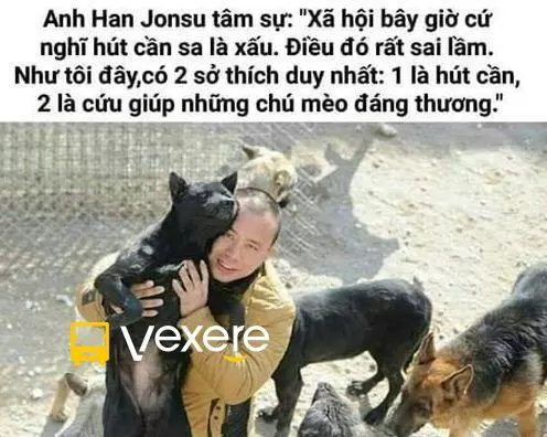 Ảnh 21