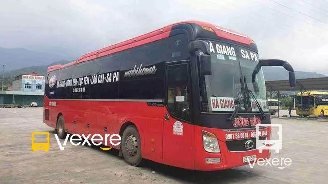 Ảnh 49