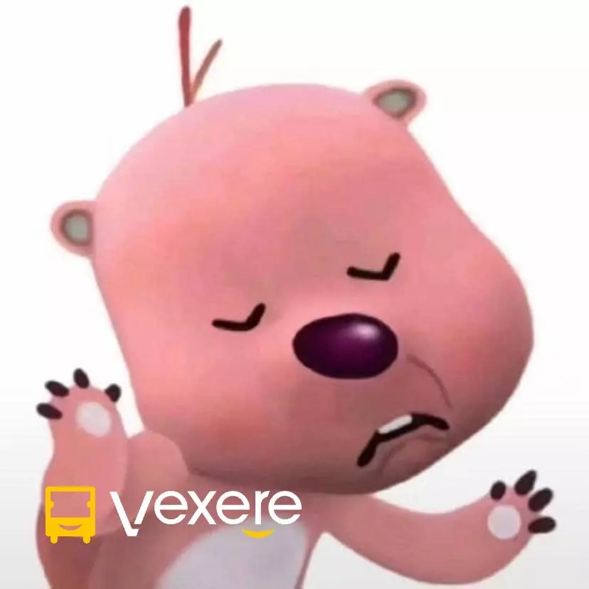 Ảnh 276