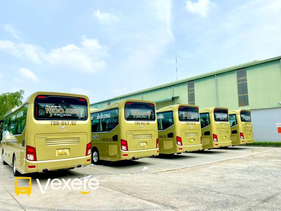 img-idx-19