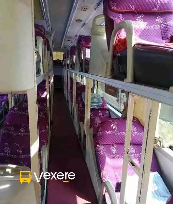 Ảnh 7