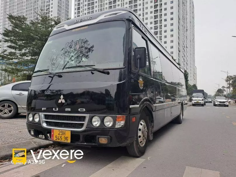 Ảnh 41