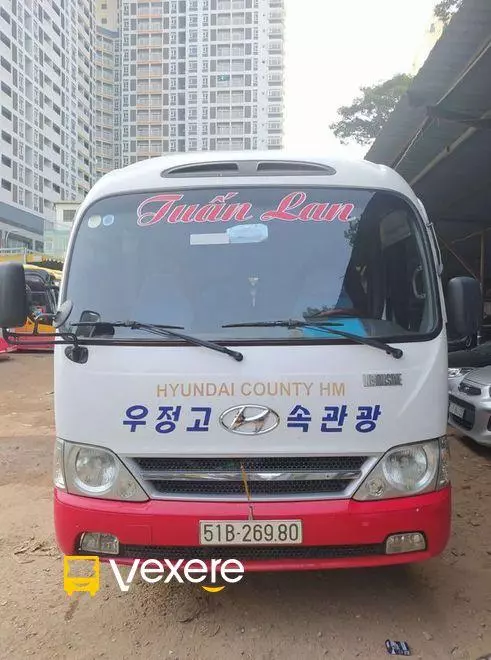 Ảnh 13
