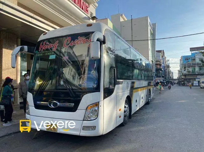 Ảnh 5