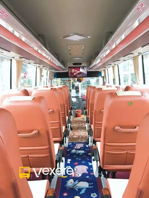 Ảnh 7
