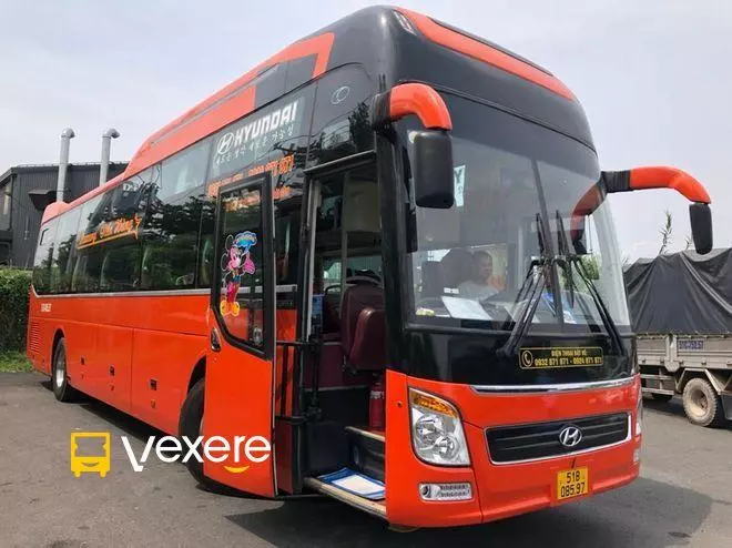 Ảnh 10